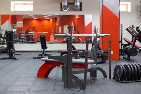 Gym Equipment Guide: Strength Training Machines, Free Weights, Cardio Tools and Their Uses