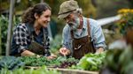 Organic Farming Techniques Guide: Types, Principles, Soil Care, Crop Growth and Pest Management