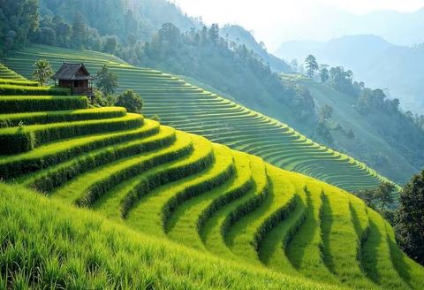 Vietnam Tour Guide: Destinations, Attractions, Transportation, Activities and Travel Planning